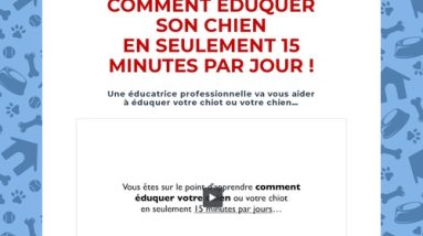 Dresser Son Chien en 15 Minutes par Jour