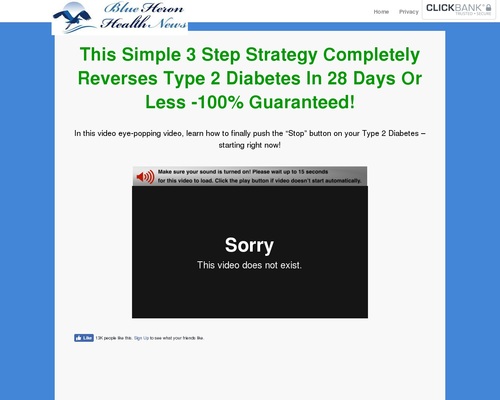 Care for Kind 2 Diabetes Naturally – Blue Heron Health Records