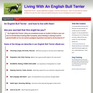 Studying To Live With An English Bull Terrier from Puppy To Grownup