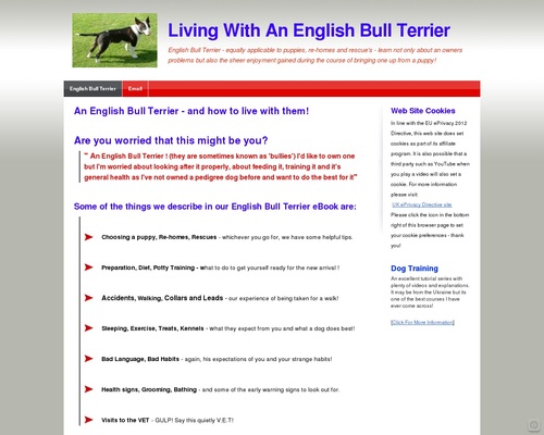 Studying To Live With An English Bull Terrier from Puppy To Grownup