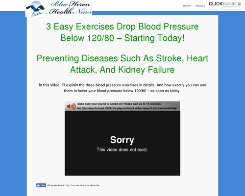 Excessive Blood Stress – Blue Heron Health Info